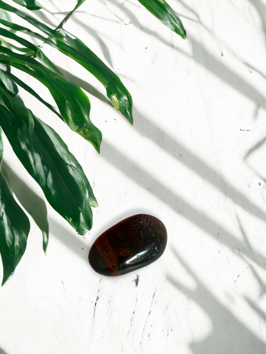 African bloodstone palm stone